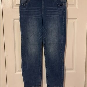 Universal Standard Dark Blue Ankle Jeans